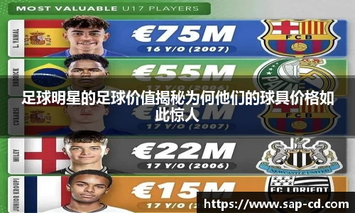 足球明星的足球价值揭秘为何他们的球具价格如此惊人