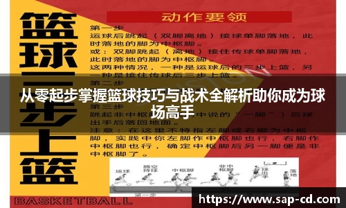 从零起步掌握篮球技巧与战术全解析助你成为球场高手